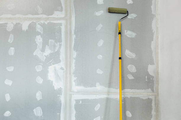 Best Mold Removal for HVAC Installations  in Page, AZ