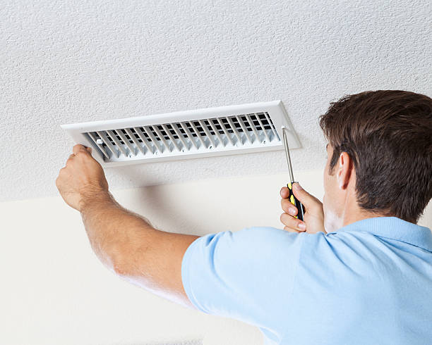 Best Industrial Mold Remediation  in Page, AZ