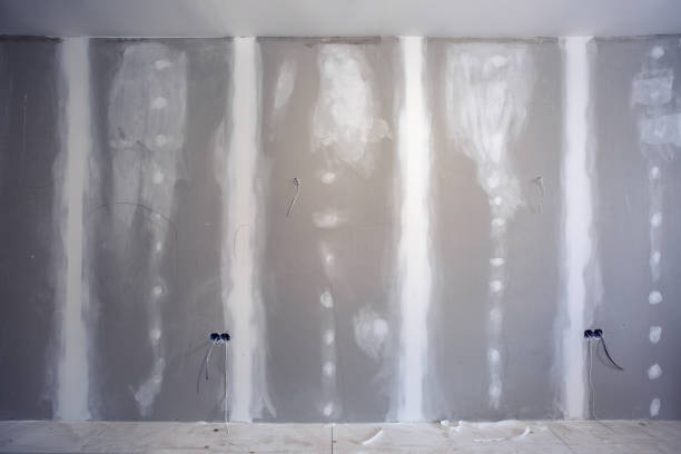Best Industrial Mold Remediation  in Page, AZ